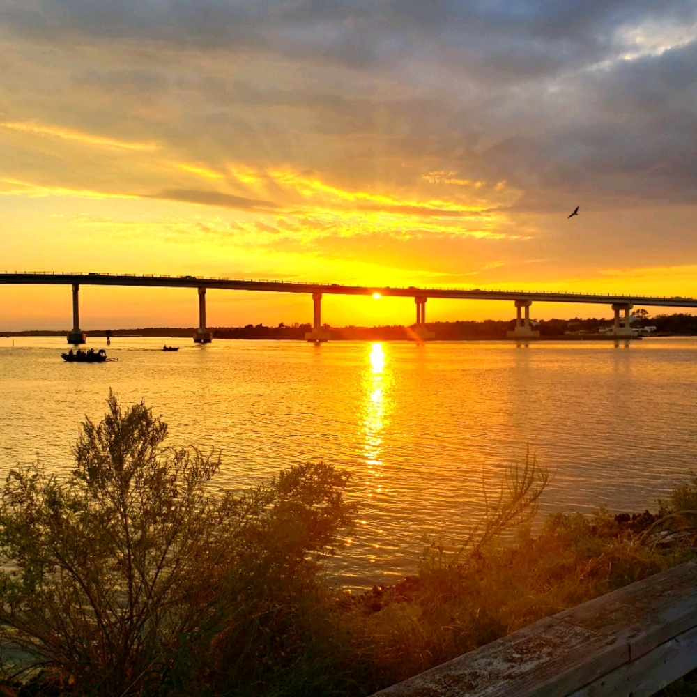 Meet your Posher, Johnson